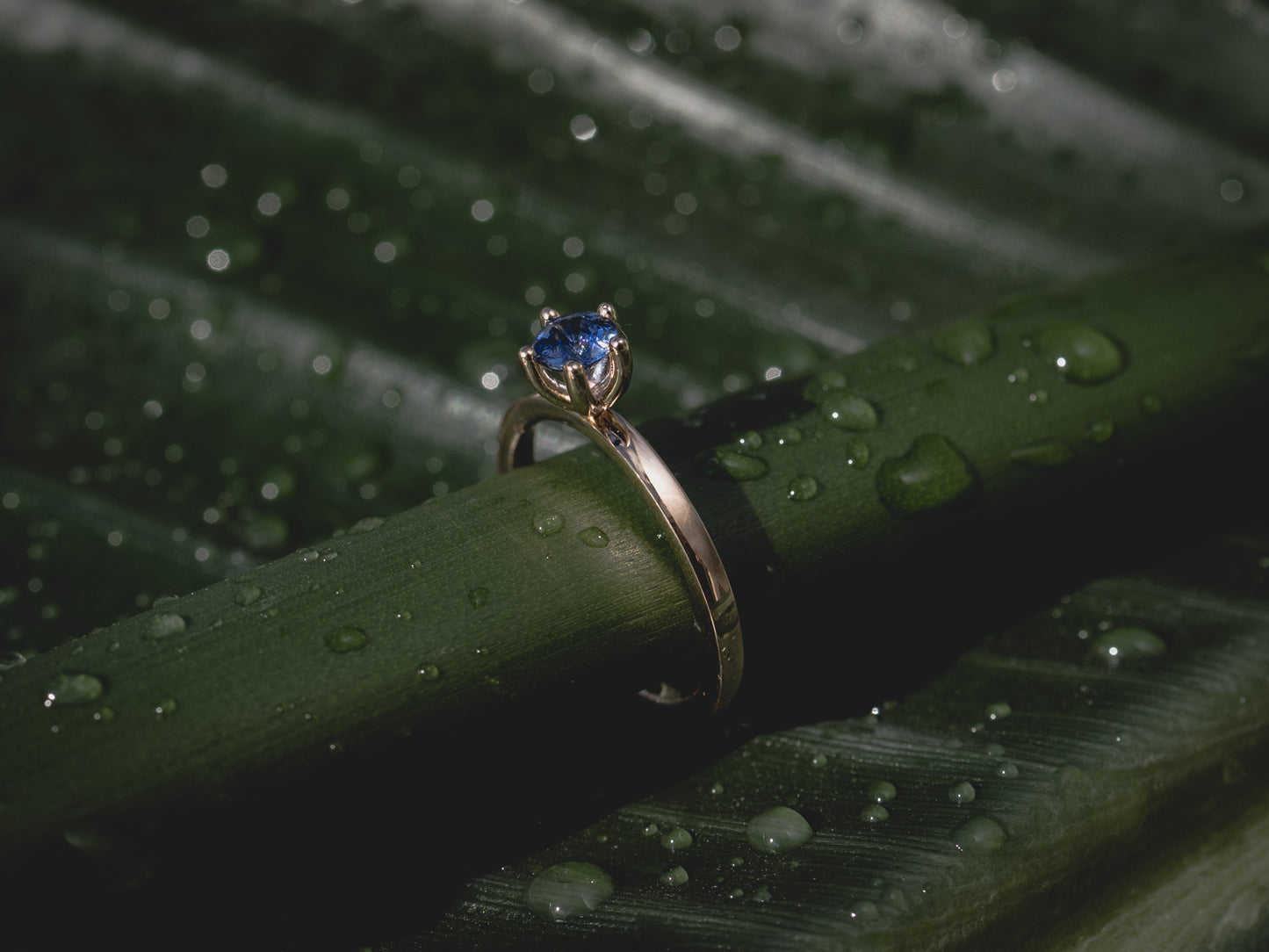 MINI Ring - antiker Burma-Saphir 14k Rosé-oder Gelbgold