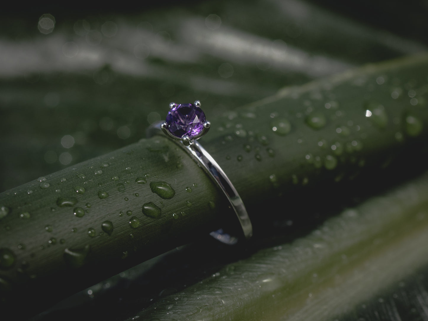 MIDI Ring- antiker Amethyst 14k Weissgold